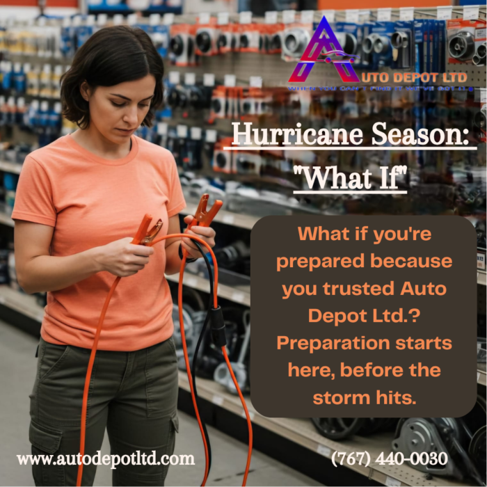 AUTO DEPOT1
