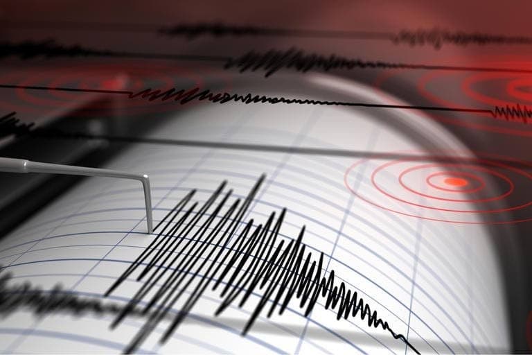 Five-Strong-Earthquakes-Strike-Near-Dominica-in-Under-an-Hour-Largest-Measuring-6.7