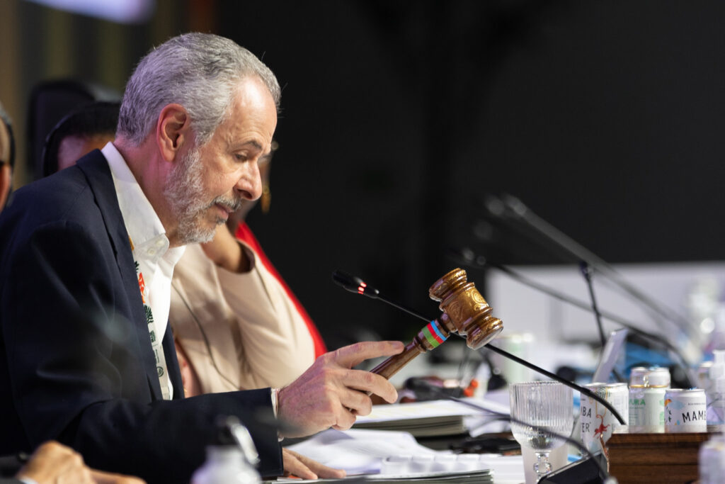 COP30-delegates-agree-to-a-last-minute-deal-that-falls-short-of-expectations
